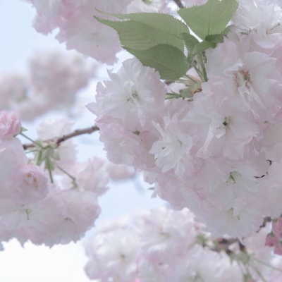 兽设Q版设计教程Furry群